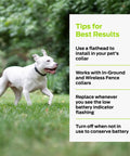 Top Shelf 6V Lithium Battery Pack Of Two For Electric Dog Fence Collars and Wireless Pet Containment Systems Long Lasting Reliable Training Gear No Sweat Daily Use, with dog in grassy outdoor setting.