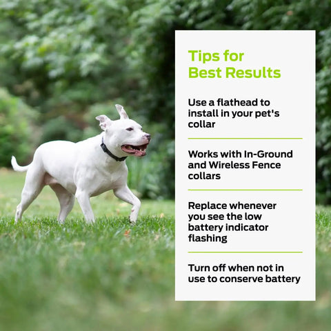 Top Shelf 6V Lithium Battery Pack Of Two For Electric Dog Fence Collars and Wireless Pet Containment Systems Long Lasting Reliable Training Gear No Sweat Daily Use, with dog in grassy outdoor setting.