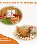 No Sweat Chicken Oyster Shell Feeder And Grit Dispenser For Backyard Flocks Spacious Crushed Eggshell Container with hens.