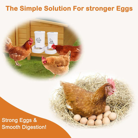 No Sweat Chicken Oyster Shell Feeder And Grit Dispenser For Backyard Flocks Spacious Crushed Eggshell Container with hens.