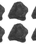 Six Pack Raw Anthracite Coal Metamorphic Rock Specimens Approx One Inch Geologist Selected Hand Processed Great for Science Classrooms