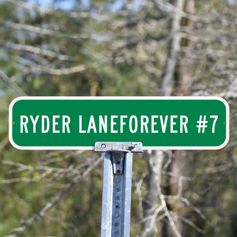 Custom Green Street Signs Personalized Aluminum Yard Decor Rock Solid Heavy Duty Outdoor Message Plate 6 By 24 Inches on a post.