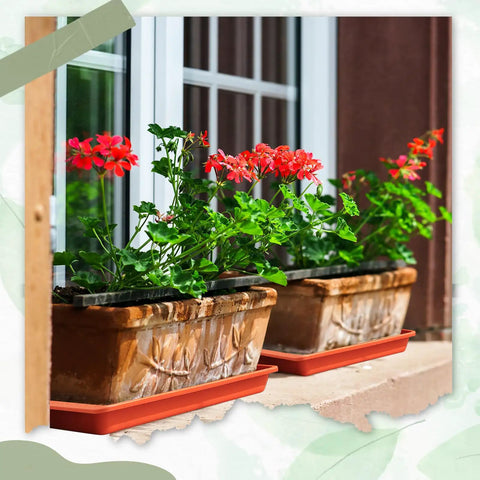Terracotta 4 Pack Rectangle Plant Saucers 24 X 8 X 1.6 Inch Large Plastic Drip Trays For Windowsill Pots And Planters, Perfect Drainage For Germination, Indoor Outdoor Use, Keeps Surfaces Clean And Pots Stable