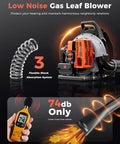 Backpack Leaf Blower, 63cc Gas Powered Beast With 665 CFM Air Flow And 205 MPH Wind, highlighting low noise and shock absorption