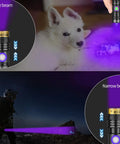 Rechargeable USB 395nm UV Black Light Flashlight Mini Ultraviolet LED Torch for detecting pet stains and outdoor use