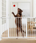 Auto Close Safety Baby Gate For Stairs And Doorways, Extra Tall And Wide, white gate with dog reaching for toy in hallway