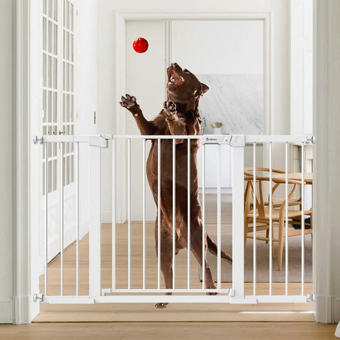 Auto Close Safety Baby Gate For Stairs And Doorways, Extra Tall And Wide, white gate with dog reaching for toy in hallway