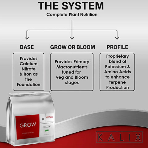 Diagram of grow system nutrients with bag featuring Grow Fertilizer For Hydroponics And Soil Water Soluble Veg Nutrients For Tomatoes.