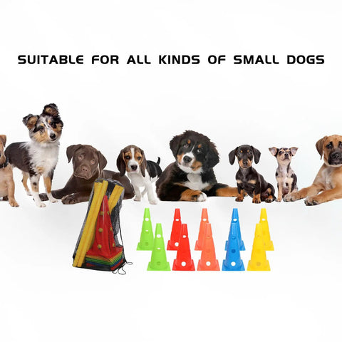 Dog Agility Training Set With 10 Cones And 5 Poles For Backyard Obstacle Course next to small dogs and mesh bag