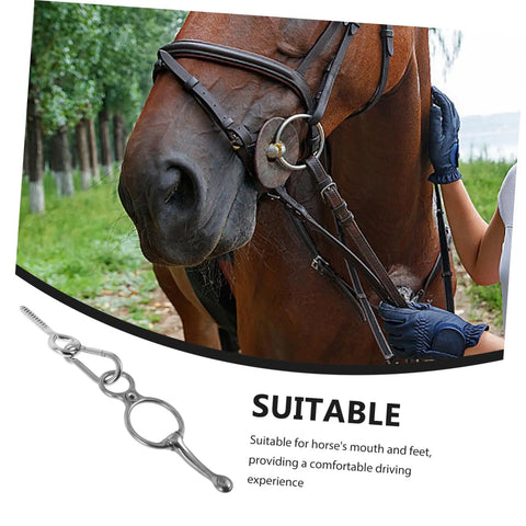 Close-up of Heavy Duty Stainless Steel Horse Tie Down Ring Cross Tie Ring with horse and handler in riding gear