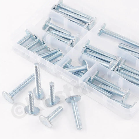 40-Piece Tee Bolts Set With 5 Sizes 1/4-20 T Bolts For T Track And T-Slot Systems in plastic case, assorted lengths visible
