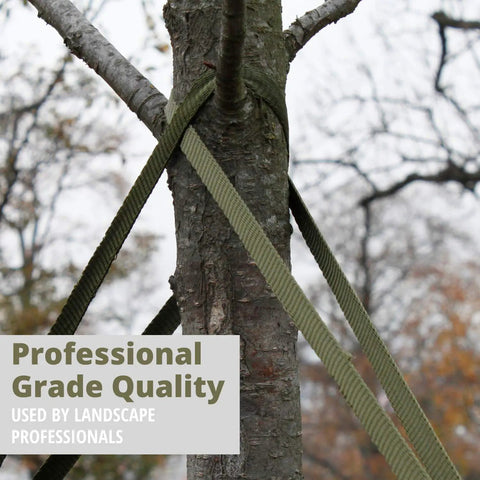 Tree supported by 250 Ft Tree Tie Strap For Staking And Guying, 1800 Lb Strength, Olive Green, Made In USA, Heavy Duty.