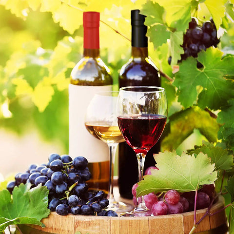 Wine Sealer Caps Set for Bottles PVC Heat Shrink Capsules 200 Pcs Multi Color Black Red Gold Silver, wine and grapes display