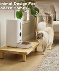 Elevated Cat Food Stand For Automatic Feeders Supporting Furbaby Neck Comfort With Solid Pine Build Compact Meal Platform boosting daily ease.