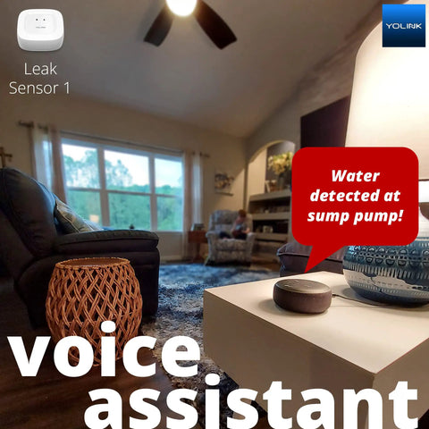 Living room with voice assistant, Long Range LoRa Water Leak Sensor 3 Pack With Flood Detector Alerts Up To A Quarter Mile Open Air Range No WiFi Needed Hub Required Works With Alexa IFTTT And Home Assistant Text Email And Push Alerts in use.