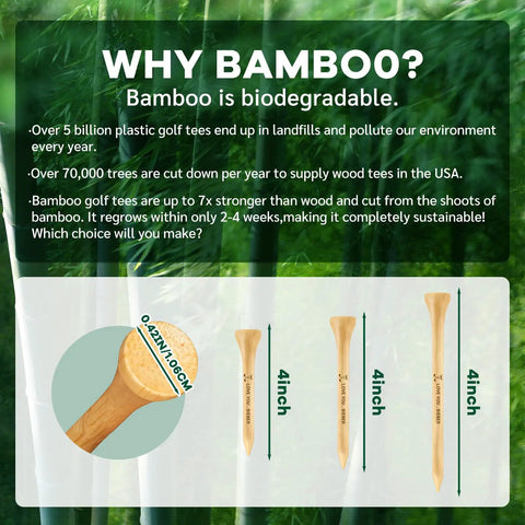 Why Bamboo? Display with bamboo golf tees illustration and sustainable benefits text on biodegradable materials.