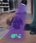 Pet stain detection with UV Black Light Flashlight Three Pack With 51 LEDs 395nm for pet urine on floor next to dog.