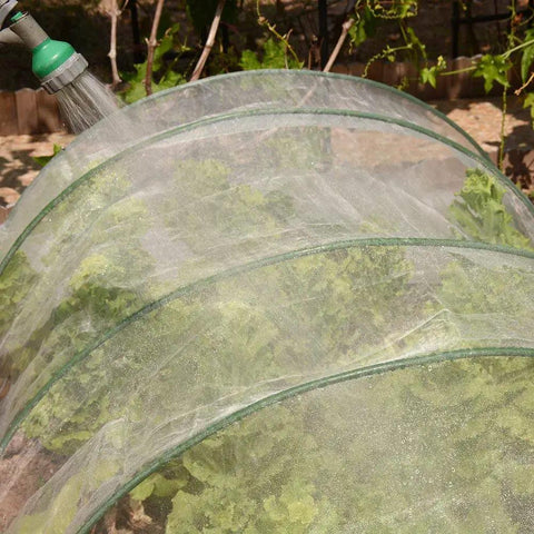 8Ft X 10Ft Garden Netting For Plant Protection And Insect Barrier installed over lettuce plants, showing fine UV-resistant PE mesh