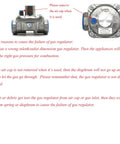 Propane gas pressure regulator with 3/4 in FNPT inlet/outlet, metal body with blue end caps