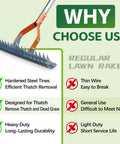 Comparison chart highlighting 74 Inch Heavy Duty Metal Dethatcher Rake With Hardened Steel Tines for lawn care advantages over regular rakes.