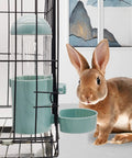 2 Pack No Drip Rabbit Water Bottle 17oz Hanging Automatic Dispenser with a rabbit next to a cage-mounted water bottle.