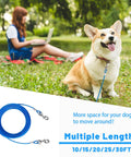 Heavy Duty PVC Coated Steel Dog Tie Out Cable With Beefy Clips For Yard Use 10 15 20 25 30 50 Ft Options with corgi