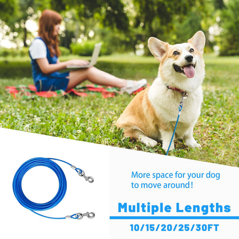 Heavy Duty PVC Coated Steel Dog Tie Out Cable With Beefy Clips For Yard Use 10 15 20 25 30 50 Ft Options with corgi
