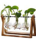 Terrarium Plant Display With Wooden Stand And Glass Bulb Vases, Vintage Metal Swivel Holder For Desktop Hydroponics Home Decor