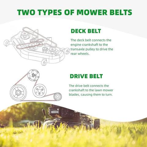 Diagram of mower deck and drive belts, text explanation; traction drive belt for TimeMaster 30 inch lawn mowers replacement belt