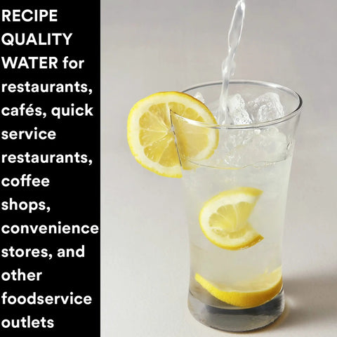 High Flow Replacement Water Filtration Cartridge HF30 MS For Home Drinking And Commercial Use with lemon in glass