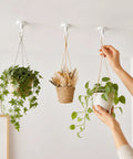 360 Degree Swivel Adhesive Wall And Ceiling Hooks, Heavy Duty No Drill Hanging Clips, Easy Peasy Setup For Plants, Lights, Wind Chimes, And Home Decor with hanging pots.