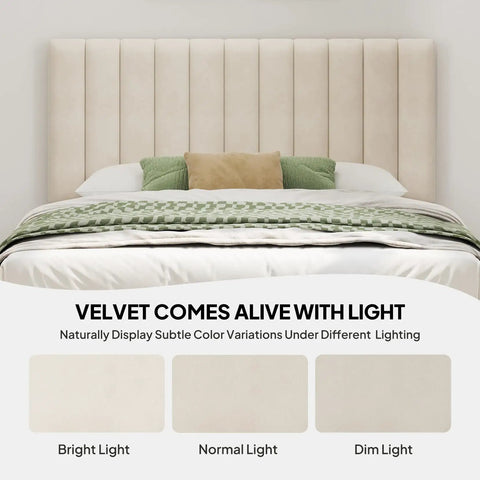 Queen Velvet Upholstered Bed Frame With Tufted Headboard showcasing color variations in bright, normal, and dim light.