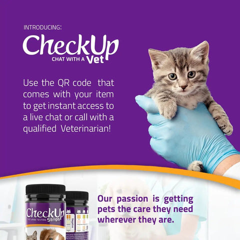 Glucose Urine Test Strips For Cats And Dogs, 50 Count, Easy At Home Pet Health Check, dip in urine with kitten and bottle package
