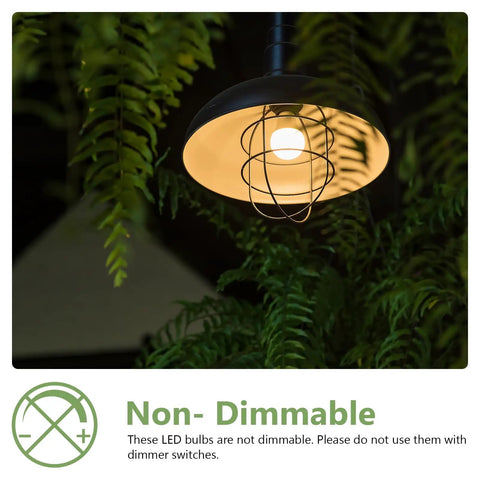60 Watt Equivalent A19 Led Light Bulbs 2700K Soft White Non Dimmable 9W Energy Saver E26 Medium Base illuminated in lamp