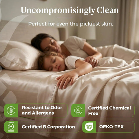 Luxurious Bamboo Viscose Sheet Set In Coconut Milk Fits Standard Split King Bed Frames for a clean, comfortable sleep.
