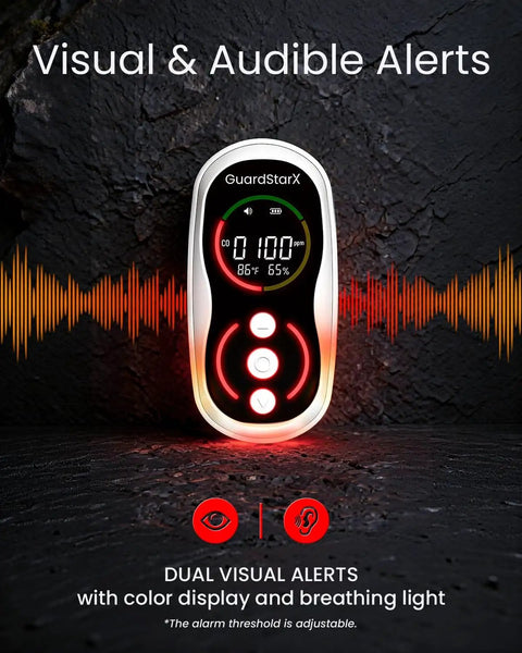 Portable Carbon Monoxide Detector With Real Time CO Readings From Zero To One Thousand Ppm 3 In 1 Safety Meter with alerts