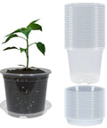 Clear 4 Inch Nursery Pots With Drainage And Saucers, 20 Pack Transparent Plant Pots For Seedlings And Starters, Super Durable