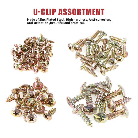 170 Piece U Nut Clips Assortment Kit With Zinc Plated Phillips Screws Black Phosphate Finish Rust Resistant Auto Body Trim Fasteners close-up view of zinc plated screws