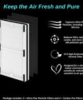 2 Pack Replacement Filter C for IAP-10-200 and IAP-10-280 air purifiers includes 2 pleated filter C units and 4 carbon pre-filters
