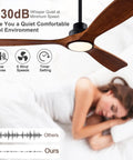 Cool 52 Inch Wood Ceiling Fan With Light Remote, Quiet DC Motor, 3 Solid Wood Blades, Indoor Outdoor, Bedroom Use, Energy Efficient LED