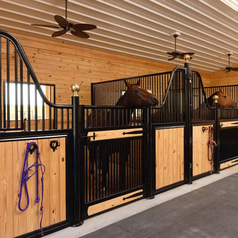 Heavy Duty Horse Bridle Rack With Bracket Hooks For Tack Room Organization Metal Halter Hanger in barn interior