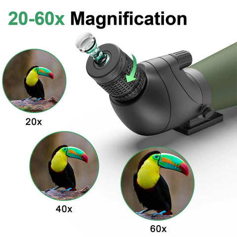 DiamondEdge Spotting Scope 20-60x80 For Bird Watching And Wildlife Viewing, Top Tier Optics With Smooth Focus, Crystal Clear Zoom For Birding, Scenery, Hiking, And Stargazing. 20-60x spotting scope with bird zoom examples