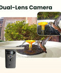 Smart Bird Bath With Dual Lens Camera Solar Powered Fountain Stand For Bird Watching Auto Capture Bird Videos And AI Identification A Cool Gift For Bird Lovers Who Love Real Time Feeds close-up view in garden