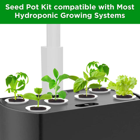 50 Pack Hydroponic Grow Baskets For Indoor Garden Systems in use with plants in a hydroponic system, green seedlings visible.