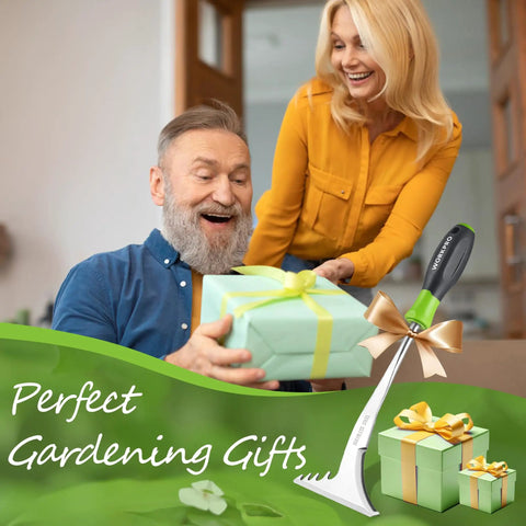 Crack Weeder With L Shaped Blade And Soft Grip Stainless Steel Handle For Effortless Root Pulling And Removal gift presentation