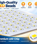 Close-up of high-quality LED beads on a panel, showcasing 12V 24V 36V LED Flood Light,10W 50W 100W 150W 200W Low Voltage DC Spotlight.