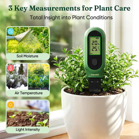 3-In-1 Digital Plant Care Meter With Soil Moisture, Temperature And Sunlight Sensor, Large LCD Display in potted plant
