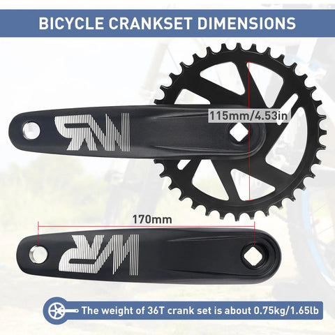 Single Piece Mountain Bike Crankset 36T With 170mm Arms For MTB Bicycles, Drop Stop Narrow Wide Chainring shown with dimensions.