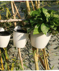Six Piece Wall Mounted Round Plastic Pothos Planters With Self Watering System For Indoor Balcony Gardens Hydroponic Hanging Flower Pots Set For Home And Office Decor on bamboo wall with green foliage