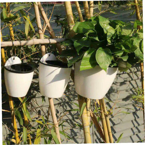 Six Piece Wall Mounted Round Plastic Pothos Planters With Self Watering System For Indoor Balcony Gardens Hydroponic Hanging Flower Pots Set For Home And Office Decor on bamboo wall with green foliage